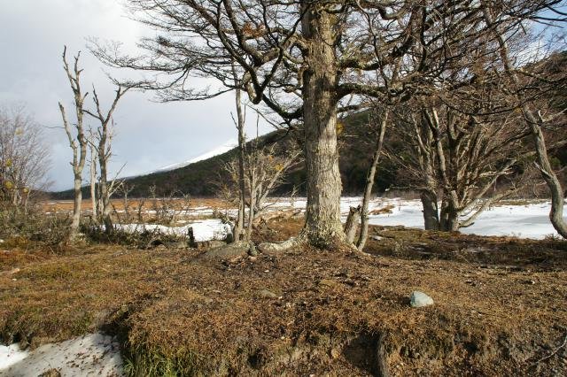 Urlaub in Südamerika 2011